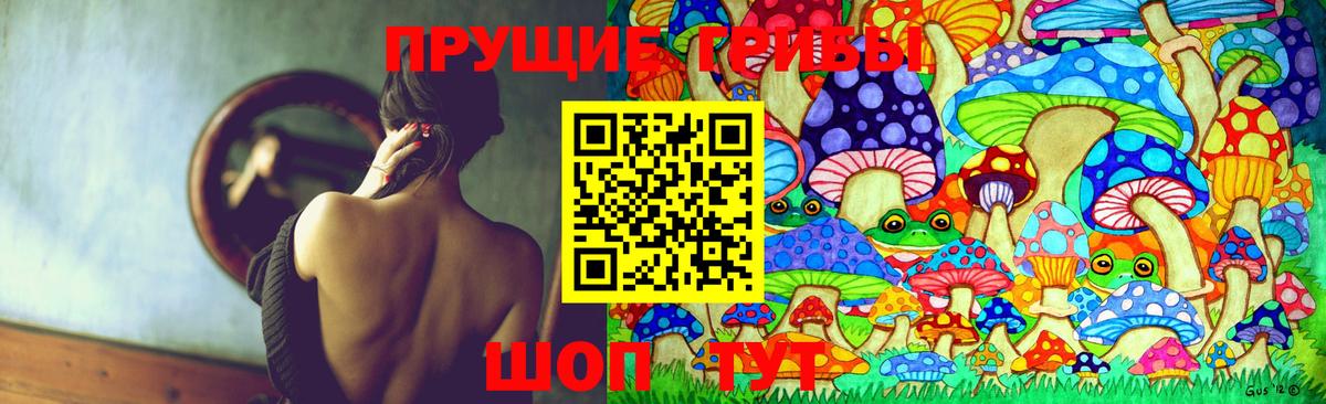 Галлюциногенные грибы MAGIC MUSHROOMS Новороссийск
